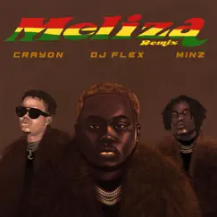 Meliza (Remix) - Single by DJ Flex, Crayon & Minz album reviews, ratings, credits
