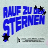 Rauf zu den Sternen artwork