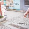 Daffodil - Single