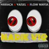 NADIE VIO (feat. Flow Mafia) - Single album lyrics, reviews, download