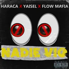 NADIE VIO (feat. Flow Mafia) Song Lyrics