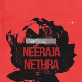 Neeraja Nethra artwork