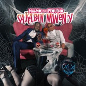 Sa k ban mwen y (feat. Pequeño) artwork