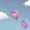 Emergency Contact - Haley Joelle lyrics