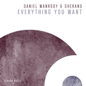 Everything You Want (Extended Mix) artwork