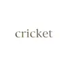Foundations, Vol. 4 (Cricket) album lyrics, reviews, download