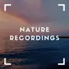 Calming Natural Sounds album lyrics, reviews, download