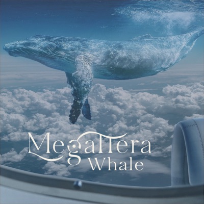 Whale - Megattera