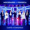 Canta Charango - Single