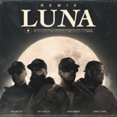 Luna (Remix) [feat. Pauneto] artwork