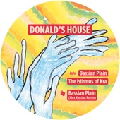 Bassian Plain (Alex Kassian Remix) artwork