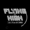 Flying 2 High song lyrics