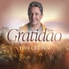 Gratidão - Single