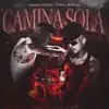 Camina Sola song lyrics
