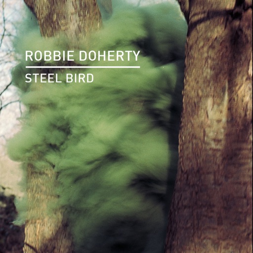 Steel Bird - Single by Robbie Doherty