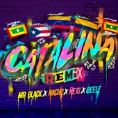 Catalina (feat. Beéle) [Remix] artwork