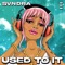 Used To It - SVNDRA lyrics