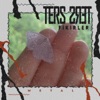 Ters Ters Fikirler - Single