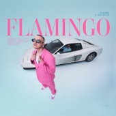 Flamingo artwork