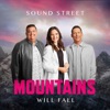 Mountains Will Fall - Single