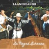 Llanereando - Single