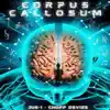 Corpus Callosum album lyrics, reviews, download