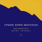 Upside Down Mountain artwork