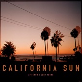 California Sun artwork