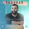 Shahkar - Single