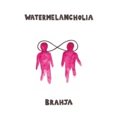 Watermelancholia artwork