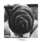 Blackberry - Xavy Rusan lyrics