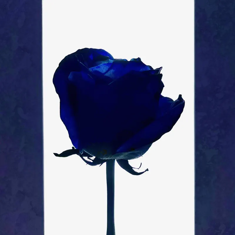 LIU KOI - blue romance - EP (2022) [iTunes Plus AAC M4A]-新房子