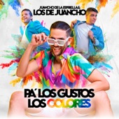 Pa' los Gustos los Colores artwork