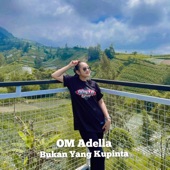 Bukan Yang Kupinta (feat. Nurma Paejah) [Live] artwork