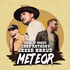 Meteor (feat. Rare of Breed & Ches Anthony) - Single by Jesse Bravo album reviews, ratings, credits
