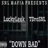 Down Bad (feat. DroSNL) - Single album lyrics, reviews, download