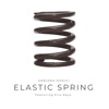 Elastic Spring - Single