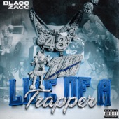 Life of a Trapper artwork