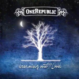 Say (All I Need) by OneRepublic song reviws