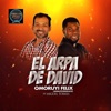 Amazzingrace - EL ARPA DE DAVID