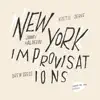 New York Improvisations (feat. Jimmy Halperin) album lyrics, reviews, download