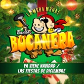 Las Fiestas De Diciembre / Ya Viene Navidad artwork