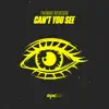 Stream & download Can't You See - Single