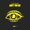 Can't You See - Single