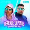 Depende, Depende Vs Namorar para Quê? - Single album lyrics, reviews, download