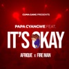 It's Okay (feat. Afrique & Fireman) - Single