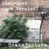 Destroyed (feat. Nik Hughes) - Snakedoctors