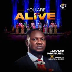You Are Alive - Single by Jaymz Manuel & Soweto Gospel Choir album reviews, ratings, credits