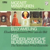 Mozart: Divertimenti & Duos I (Netherlands Wind Ensemble: Complete Philips Recordings, Vol. 6) artwork