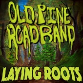 Old Pine Road Band - Summer Sun